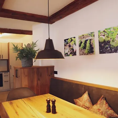 Mocking Apartment Kitzbühel
